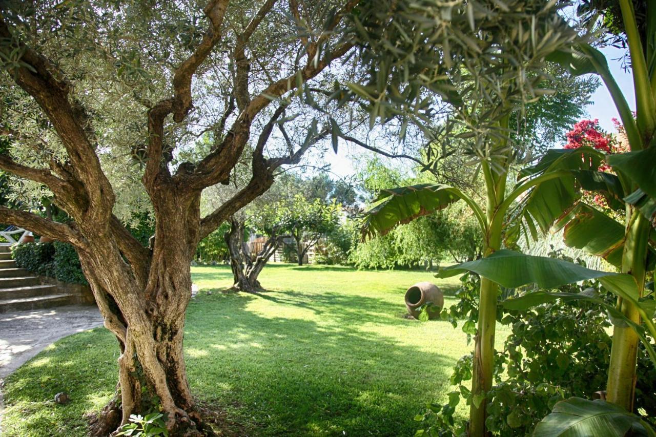 Bastide Sainte Agnes Bed & Breakfast Carpentras Exterior photo