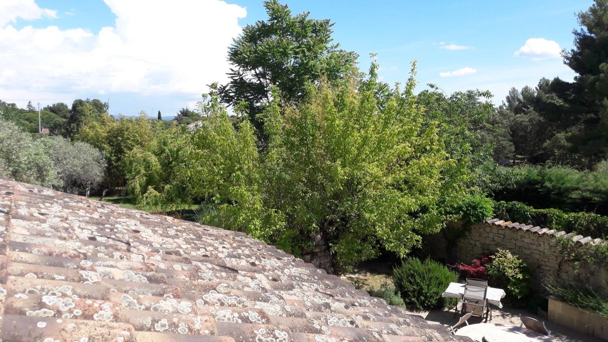 Bastide Sainte Agnes Bed & Breakfast Carpentras Exterior photo